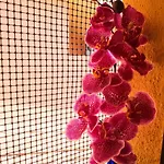 Nuvole Гостевой дом 3*